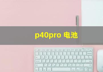 p40pro 电池